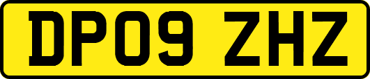 DP09ZHZ