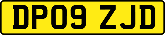 DP09ZJD