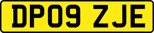 DP09ZJE