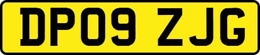 DP09ZJG