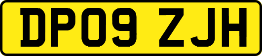 DP09ZJH