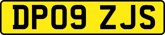DP09ZJS