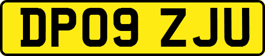 DP09ZJU