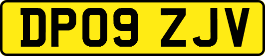 DP09ZJV