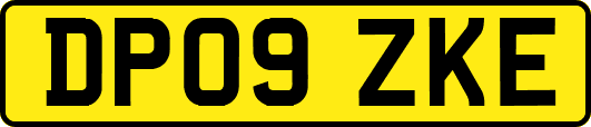 DP09ZKE