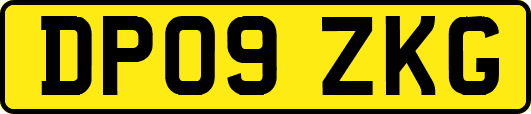 DP09ZKG
