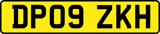 DP09ZKH