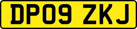 DP09ZKJ