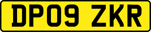 DP09ZKR