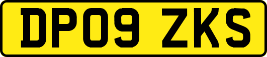 DP09ZKS