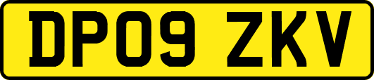 DP09ZKV
