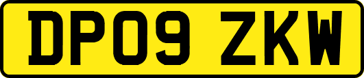 DP09ZKW