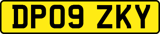 DP09ZKY