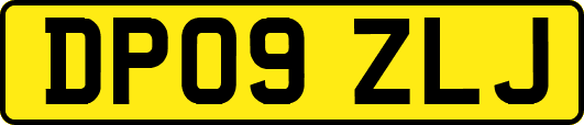DP09ZLJ