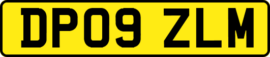 DP09ZLM