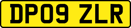 DP09ZLR