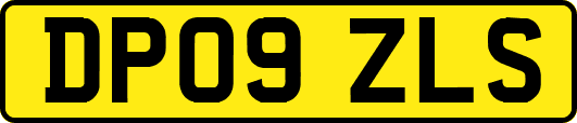 DP09ZLS
