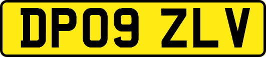 DP09ZLV