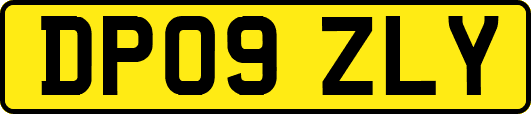 DP09ZLY