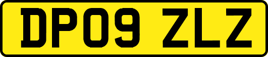 DP09ZLZ