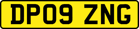 DP09ZNG