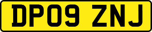 DP09ZNJ