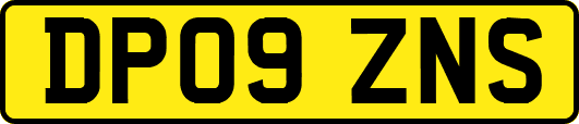 DP09ZNS