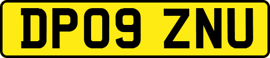 DP09ZNU