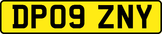 DP09ZNY