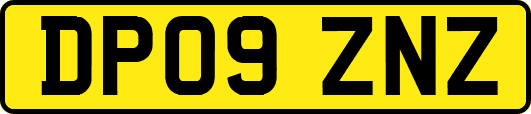 DP09ZNZ