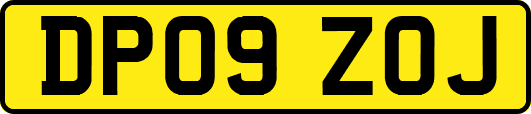 DP09ZOJ