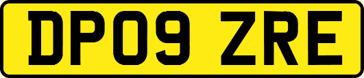 DP09ZRE