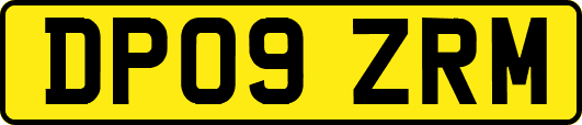 DP09ZRM