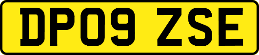 DP09ZSE