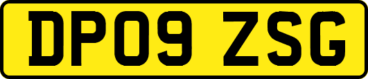 DP09ZSG