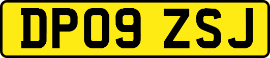 DP09ZSJ