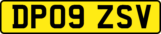 DP09ZSV