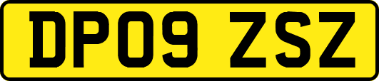 DP09ZSZ