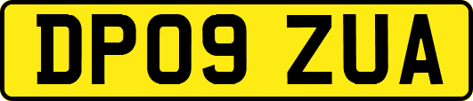 DP09ZUA