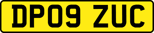 DP09ZUC
