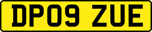 DP09ZUE