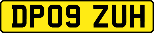 DP09ZUH