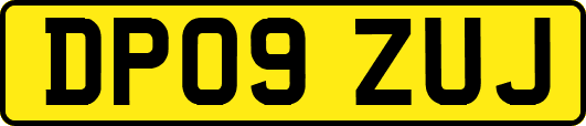 DP09ZUJ