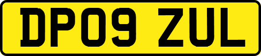 DP09ZUL