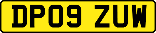 DP09ZUW
