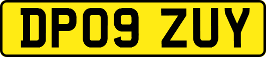 DP09ZUY
