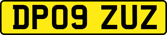 DP09ZUZ