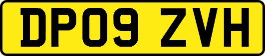 DP09ZVH