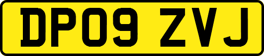 DP09ZVJ