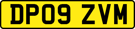 DP09ZVM